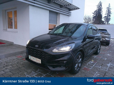 Ford Kuga Gebrauchtwagen