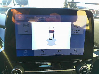 Ford Puma Gebrauchtwagen