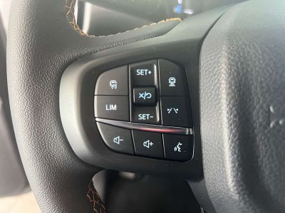 Ford Ranger Tageszulassung