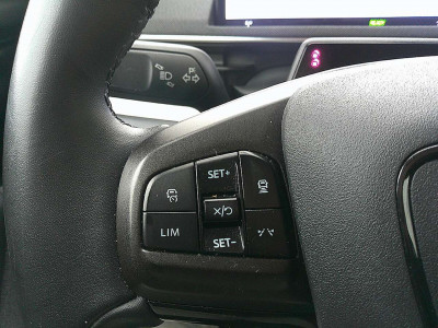 Ford Mustang Mach-E Gebrauchtwagen