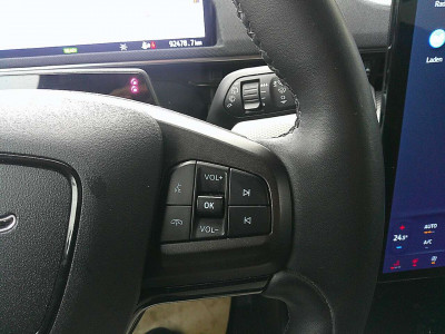 Ford Mustang Mach-E Gebrauchtwagen