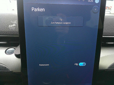 Ford Mustang Mach-E Gebrauchtwagen