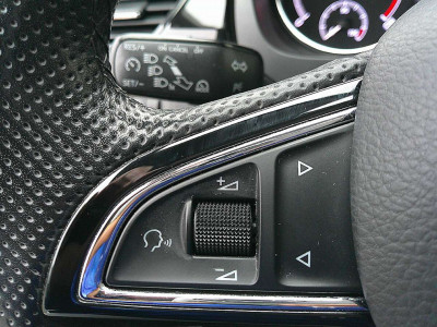 Skoda Rapid Gebrauchtwagen