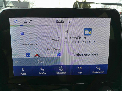 Ford Puma Gebrauchtwagen