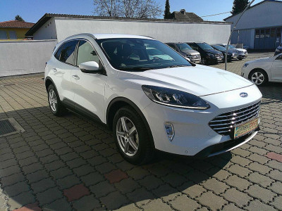 Ford Kuga Gebrauchtwagen