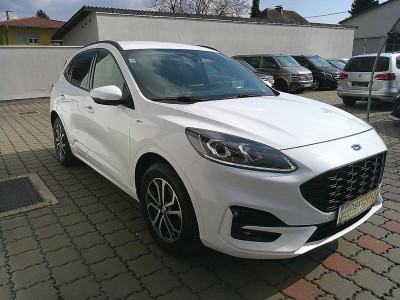 Ford Kuga Gebrauchtwagen Ford Kuga Gebrauchtwagen