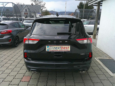 Ford Kuga Gebrauchtwagen