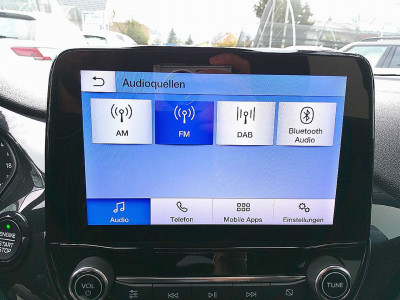 Ford Fiesta Gebrauchtwagen