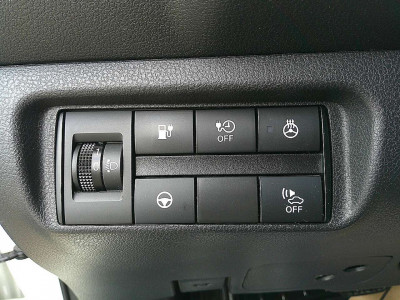 Nissan Leaf Gebrauchtwagen