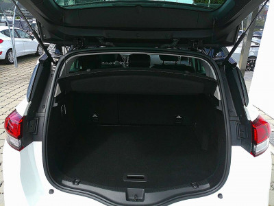 Renault Scénic Gebrauchtwagen