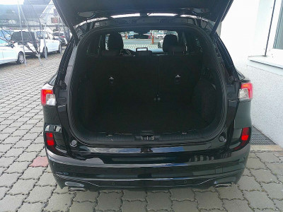 Ford Kuga Gebrauchtwagen Ford Kuga Gebrauchtwagen