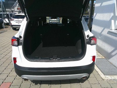 Ford Kuga Gebrauchtwagen Ford Kuga Gebrauchtwagen