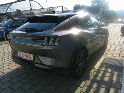 Ford Mustang Mach-E Gebrauchtwagen