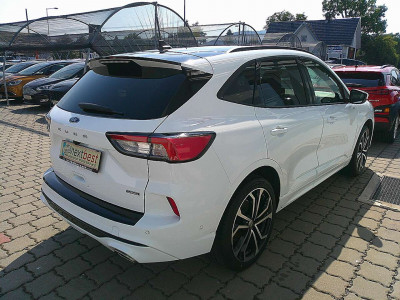 Ford Kuga Gebrauchtwagen Ford Kuga Gebrauchtwagen