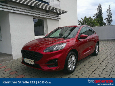 Ford Kuga Gebrauchtwagen