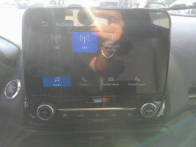 Ford EcoSport Gebrauchtwagen