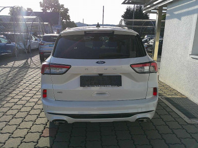 Ford Kuga Gebrauchtwagen Ford Kuga Gebrauchtwagen