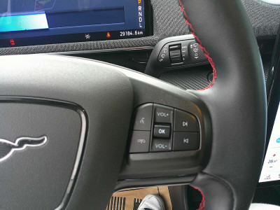 Ford Mustang Mach-E Gebrauchtwagen