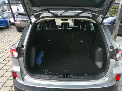 Ford Kuga Gebrauchtwagen Ford Kuga Gebrauchtwagen
