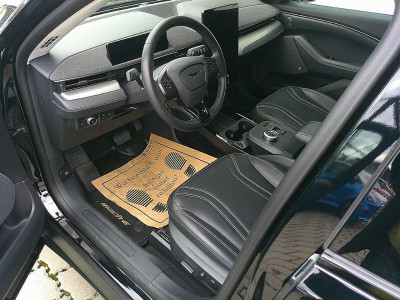 Ford Mustang Mach-E Gebrauchtwagen Ford Mustang Mach-E Gebrauchtwagen