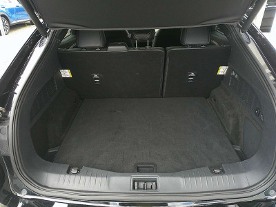 Ford Mustang Mach-E Gebrauchtwagen Ford Mustang Mach-E Gebrauchtwagen