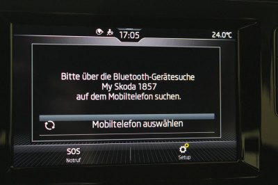 Skoda Kamiq Gebrauchtwagen