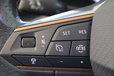 Cupra Formentor Gebrauchtwagen Cupra Formentor Gebrauchtwagen