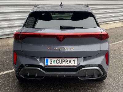 Cupra Terramar Gebrauchtwagen