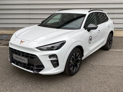 Cupra Terramar Gebrauchtwagen