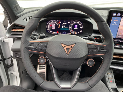 Cupra Terramar Gebrauchtwagen
