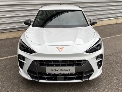 Cupra Terramar Gebrauchtwagen