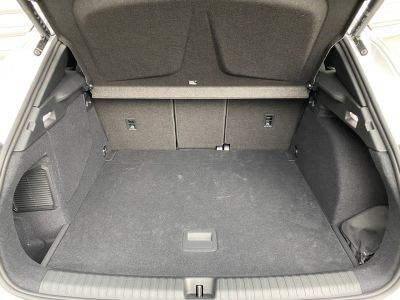 Cupra Terramar Gebrauchtwagen