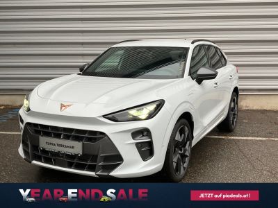 Cupra Terramar Gebrauchtwagen