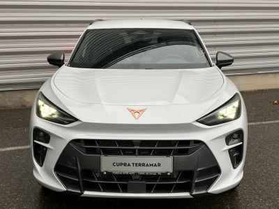 Cupra Terramar Gebrauchtwagen