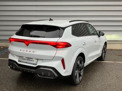 Cupra Terramar Gebrauchtwagen