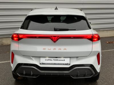 Cupra Terramar Gebrauchtwagen