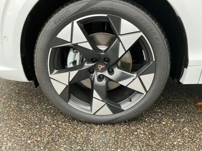 Cupra Terramar Gebrauchtwagen