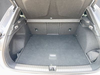 Cupra Terramar Gebrauchtwagen