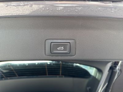 Cupra Terramar Gebrauchtwagen