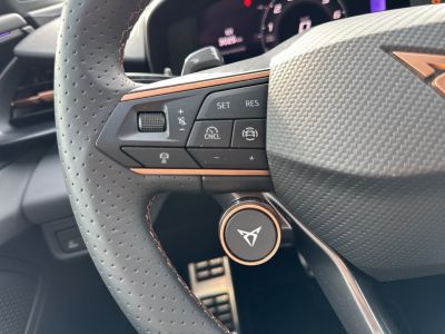 Cupra Terramar Gebrauchtwagen