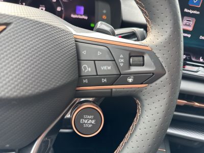 Cupra Terramar Gebrauchtwagen