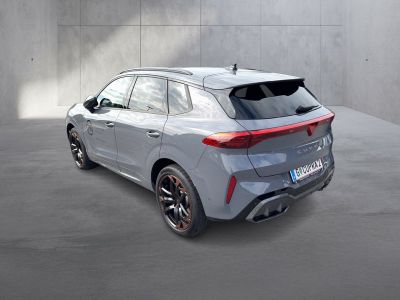Cupra Terramar Gebrauchtwagen