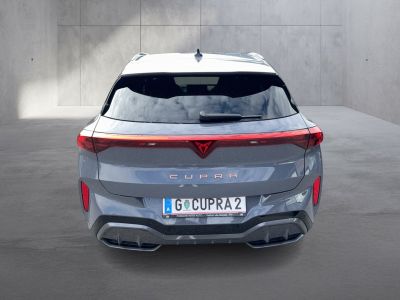 Cupra Terramar Gebrauchtwagen