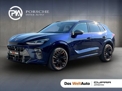 Cupra Terramar Gebrauchtwagen
