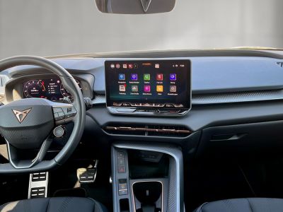 Cupra Terramar Gebrauchtwagen Cupra Terramar Gebrauchtwagen