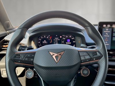 Cupra Terramar Gebrauchtwagen Cupra Terramar Gebrauchtwagen
