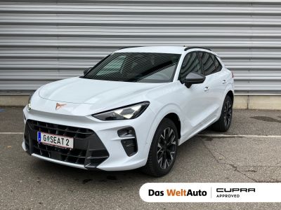 Cupra Terramar Gebrauchtwagen