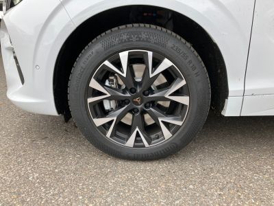 Cupra Terramar Gebrauchtwagen