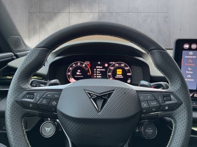 Cupra Terramar Gebrauchtwagen