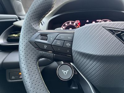 Cupra Terramar Gebrauchtwagen